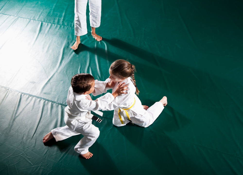Tiny Warriors The Benefits of JiuJitsu for Kids Toy Box City