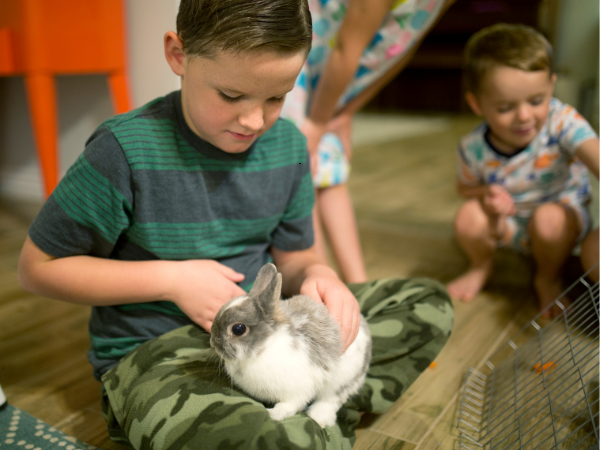 Adopt a Pet: Helping Your Child Choose Their Furry Friend