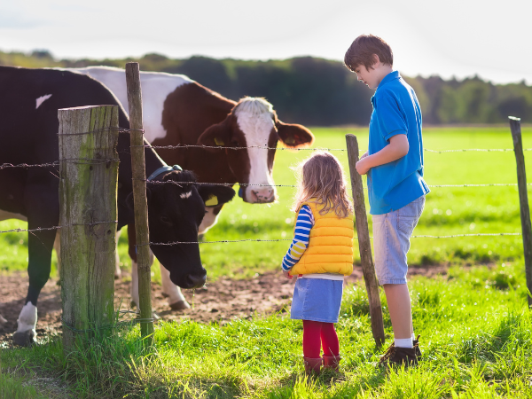 Wildlife Wonders: Exploring the World of Animals with Your Kids