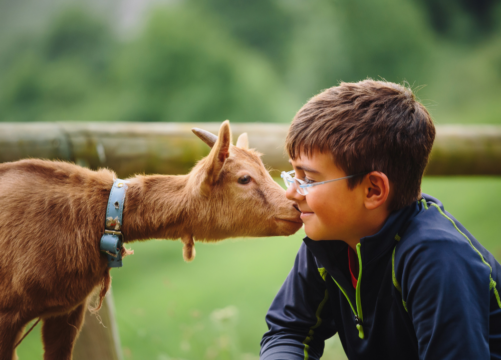 Animal Kingdom: Fun Facts About Animals for Kids